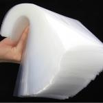 Reticulated Food Vacuum Bag